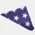 USA Flag - 48 stars