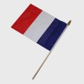Small French stick flag