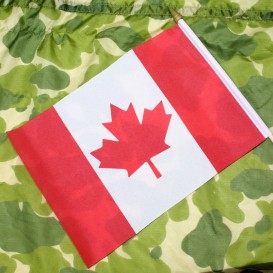 Stick Flag Canada