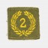 Meritorious Unit Patch