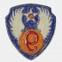 Patch 9th Usaaf