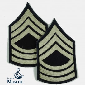 Master Sergeant - LPM