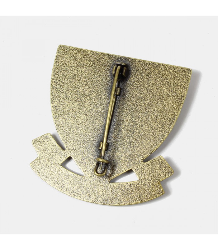 Pin's Armée FFI – Insigne BM4 Compagnie Chambarand, Argenté, 1,7 Cm