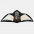 RAF - Pilot's Wings