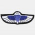 SAS Wings Badge