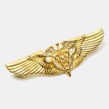 Brevet de Flight Nurse - Or