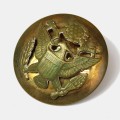 US cap badge