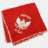 US Army Handkerchief