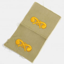 Insignes Officier Chemical toile