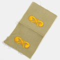 Insignes Officier Chemical toile