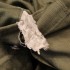 Veste HBT