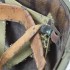 M1 Helmet