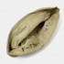 Edward S. Franfo cap