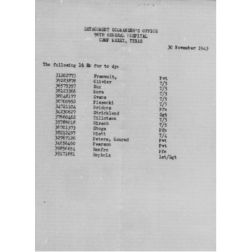 Housse de pelle M-43