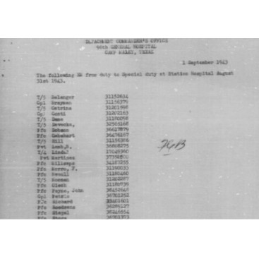 Housse de pelle M-43