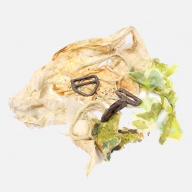 Lot de boucles T5, Normandie