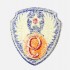 Patch 9th Usaaf