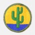 Patch 103rd Division