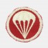 Artillery Parachute Cap Patch