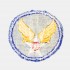 USAAF Patch