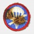 Patch Para/Glider