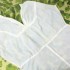 White Canopy piece nightgown